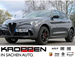Grau Gebraucht 2024 Alfa Romeo Stelvio Quadrifoglio SUV | 65.790 € (Fairer Preis)