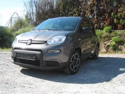 Grau Gebraucht 2022 Fiat Panda City Life Kleinwagen | 10.499 € (Guter Preis)