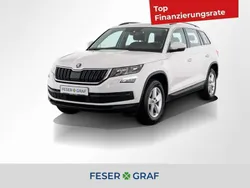 Candy weiss Gebraucht 2021 Skoda Kodiaq Ambition SUV | 22.491 € (Fairer Preis)