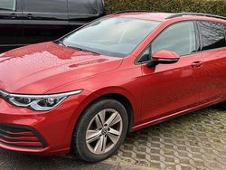 Rot Gebraucht 2021 VW Golf VIII Life Kombi | 18.450 € (Fairer Preis)