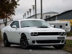 Weiß Gebraucht 2016 Dodge Challenger Coupé | 41.500 € (Etwas zu teuer)
