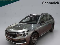 Grau Gebraucht 2025 Skoda Kamiq Selection SUV | 28.890 € (Etwas zu teuer)