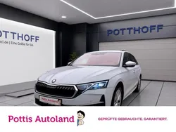Weiss Gebraucht 2024 Skoda Octavia Selection Kombi | 31.977 € (Guter Preis)