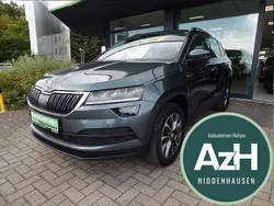 Grau Gebraucht 2020 Skoda Karoq Drive SUV | 23.790 € (Guter Preis)
