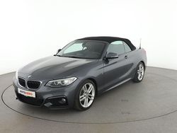 Grau Gebraucht 2016 BMW 218 M Sport Cabrio | 18.650 € (Guter Preis)