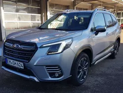 Ice silver Neu 2024 Subaru Forester Comfort SUV | 36.990 € (Guter Preis)
