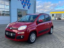 Rot Gebraucht 2012 Fiat Panda Kleinwagen | 6.000 € (Fairer Preis)