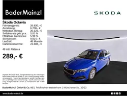 Blau Gebraucht 2023 Skoda Octavia Kombi | 26.830 € (Guter Preis)
