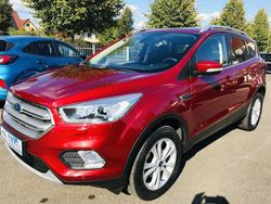 Rot Gebraucht 2019 Ford Kuga Titanium SUV | 17.450 € (Guter Preis)