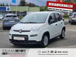 Gelato weiß Gebraucht 2024 Fiat Panda Kleinwagen | 13.950 € (Fairer Preis)
