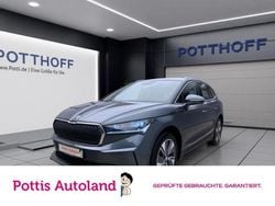 Grau Gebraucht 2021 Skoda Enyaq iV Loft SUV | 24.377 € (Guter Preis)