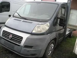Blau Gebraucht 2010 Fiat Ducato Van | 2.799 €