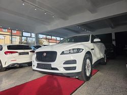 Weiß Gebraucht 2016 Jaguar F-Pace Pure SUV | 12.900 € (Etwas zu teuer)