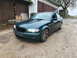 Grün Gebraucht 2002 BMW 318 Limousine | 2.300 € (Guter Preis)
