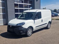 Weiß Gebraucht 2020 Fiat Doblò Van / Kleinbus | 14.499 € (Teuer)