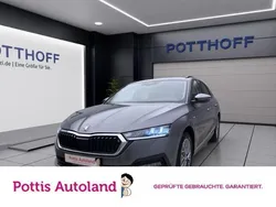 Grau Gebraucht 2023 Skoda Octavia Tour Kombi | 24.177 € (Guter Preis)