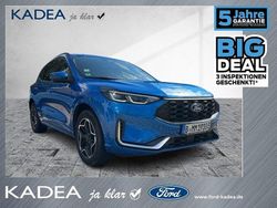 Blau Gebraucht 2024 Ford Kuga ST-Line X SUV | 33.980 € (Fairer Preis)