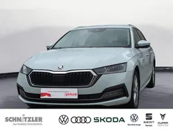 Moonweiss Gebraucht 2023 Skoda Octavia Style Kombi | 29.480 € (Fairer Preis)