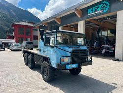 Blau Gebraucht 1995 PUCH Pinzgauer SUV | 60.000 €
