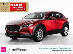 Rot Gebraucht 2024 Mazda CX-30 Exclusive SUV | 29.990 €