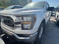 Oxfordwhite Neu 2025 Ford F-150 XLT Abholung | 62.000 €