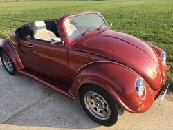 VW Käfer