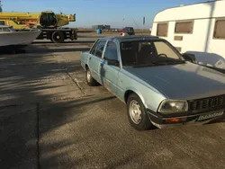 Grün Gebraucht 1995 Peugeot 505 Limousine | 1.700 €