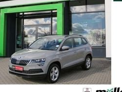 Grau Gebraucht 2020 Skoda Karoq Ambition SUV | 17.990 € (Guter Preis)