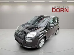 Schwarz Gebraucht 2025 Fiat Panda Kleinwagen | 13.990 € (Fairer Preis)