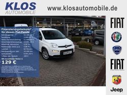 Weiss Gebraucht 2023 Fiat Panda Kleinwagen | 13.490 € (Fairer Preis)