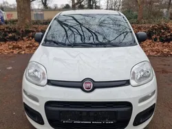Weiß Gebraucht 2020 Fiat Panda Easy Kleinwagen | 6.300 € (Superpreis)