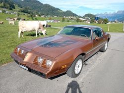 Gold Gebraucht 1979 Pontiac Firebird Coupé | 18.500 €