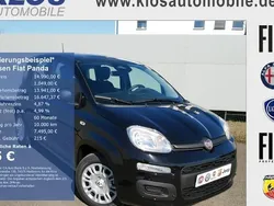 Schwarz Neu 2025 Fiat Panda Pop Kleinwagen | 14.990 € (Fairer Preis)