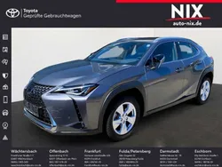 Grau Gebraucht 2021 Lexus UX 300e Executive Line SUV | 25.000 € (Guter Preis)