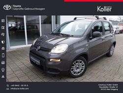 Grau Gebraucht 2023 Fiat Panda Kleinwagen | 11.499 € (Guter Preis)
