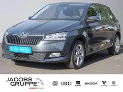 Grau Gebraucht 2020 Skoda Fabia Cool Plus Kleinwagen | 12.330 € (Fairer Preis)