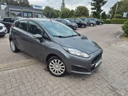 Grau Gebraucht 2016 Ford Fiesta Trend Kleinwagen | 6.999 € (Fairer Preis)