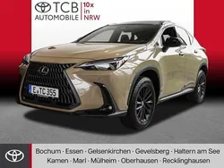Beige (saharabeige) Gebraucht 2024 Lexus NX350h SUV | 65.990 €