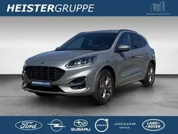 Silber (solarsilber) Gebraucht 2024 Ford Kuga ST-Line X SUV | 32.890 € (Etwas zu teuer)