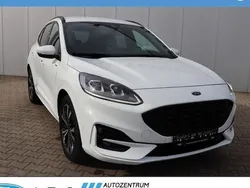 Weiß Neu 2024 Ford Kuga ST-Line SUV | 36.977 € (Fairer Preis)