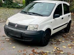 Weiß Gebraucht 2009 Fiat Panda Kleinwagen | 1.300 € (Guter Preis)