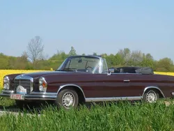 Bronze Gebraucht 1970 Mercedes 280 SE Cabrio | 129.000 €