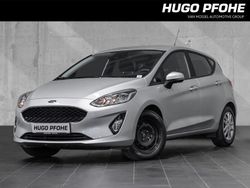 Silber Gebraucht 2020 Ford Fiesta Kleinwagen | 12.710 € (Etwas zu teuer)