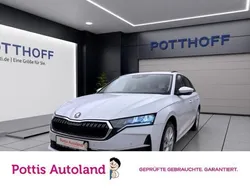 Weiss Gebraucht 2024 Skoda Octavia Selection Kombi | 29.777 € (Guter Preis)