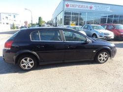 Blau Gebraucht 2003 Opel Signum Kleinwagen | 999 € (Superpreis)