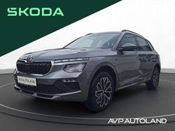 Graphite grau Neu 2025 Skoda Kamiq Selection SUV | 27.590 € (Fairer Preis)