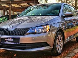 Grau Gebraucht 2015 Skoda Fabia Kleinwagen | 8.999 € (Fairer Preis)