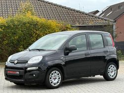 Schwarz Gebraucht 2021 Fiat Panda Kleinwagen | 8.990 € (Superpreis)