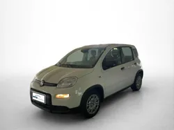 Colore esterno (weiss) Neu 2024 Fiat Panda Kleinwagen | 15.990 € (Fairer Preis)