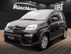 Colore esterno (cinema schwarz Neu 2024 Fiat Panda Kleinwagen | 13.880 €